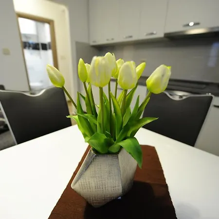 아파트 The Star 스플리트