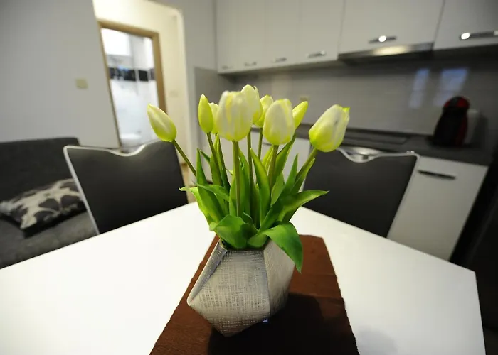 아파트 The Star 스플리트